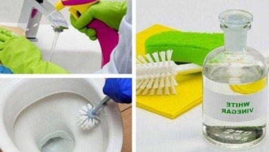 6 formas de limpar o banheiro com vinagre branco 4