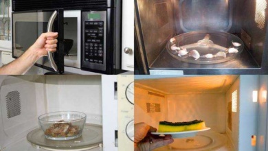 9 Coisas INCRÍVEIS que se pode fazer com o microondas
