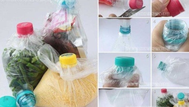 17 Ideias criativas para reciclar as garrafas de plástico