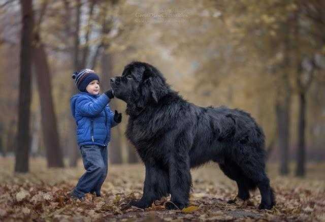 20 imagens incríveis de crianças e seus cães de estimação