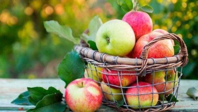 Os benefícios de comer uma maçã por dia