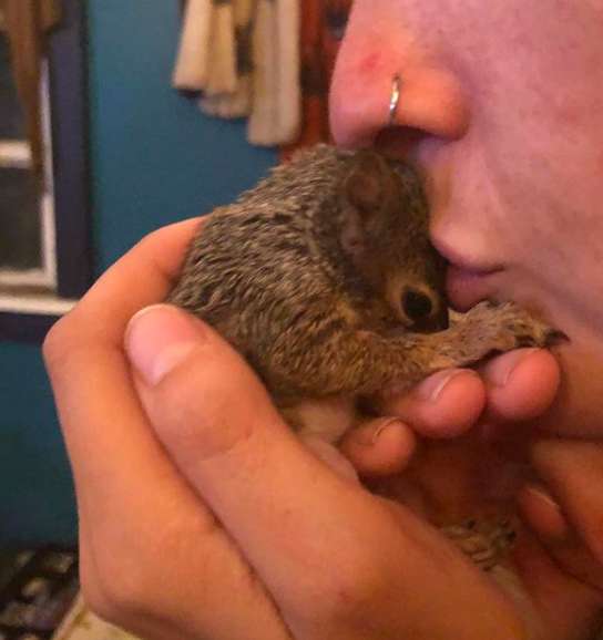 Esquilo visita todos os dias o homem que salvou sua vida