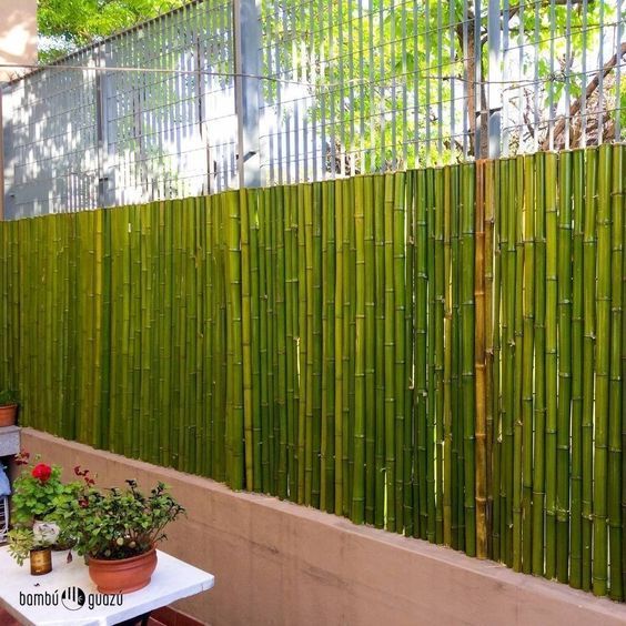 Ideias para criar bonitas cercas de bambu para o seu jardim