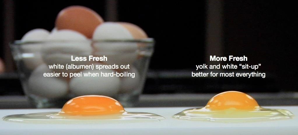 Como saber se um ovo serve ou não para ser consumido