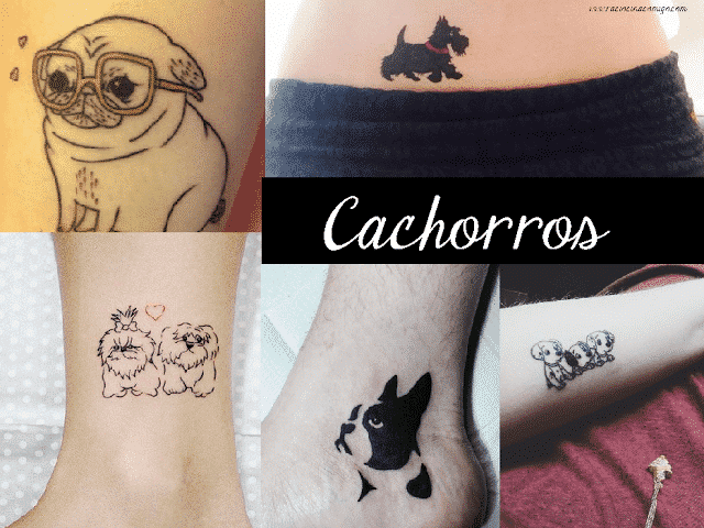 Tatuagens de Cachorro: 50 Fotos Inspiradoras para fazer hoje