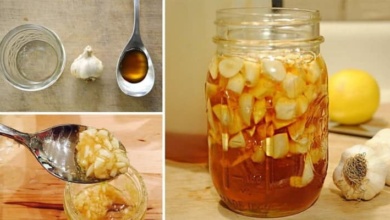 Aprenda a fazer alho com mel que é maravilha para o sistema imunológico