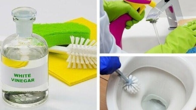 10 dicas com vinagre para limpeza da sua casa