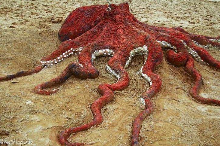 Artista basco faz esculturas de areia tão perfeitas que se parecem com animais vivos