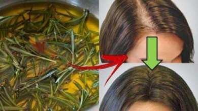 5 maneiras de usar alecrim para tratar a queda de cabelo