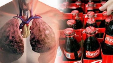 Veja o que acontece com seu corpo quando você bebe Coca-Cola D